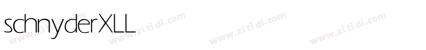 schnyderXL Light字体转换
